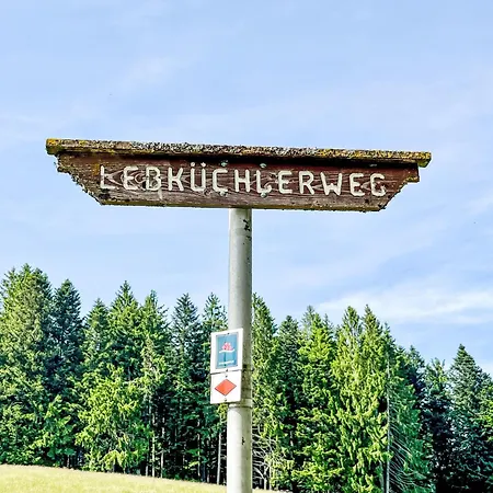 Tannenblick By Interhome Daire Todtmoos