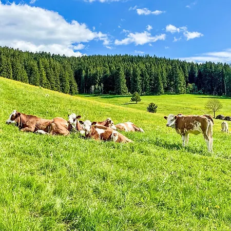 Tannenblick By Interhome *