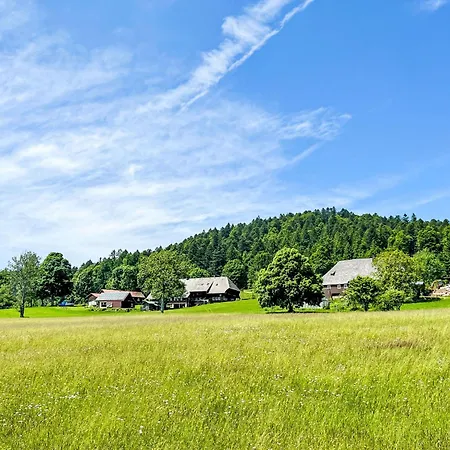 Tannenblick By Interhome Daire